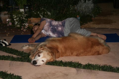 Doga: Yoga for Dogs ・・・まじで?!_c0057850_11432919.jpg