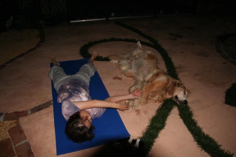 Doga: Yoga for Dogs ・・・まじで?!_c0057850_11434525.jpg