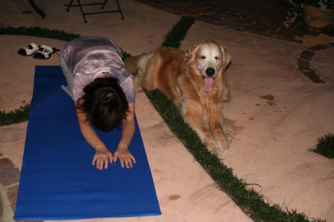 Doga: Yoga for Dogs ・・・まじで?!_c0057850_11435891.jpg
