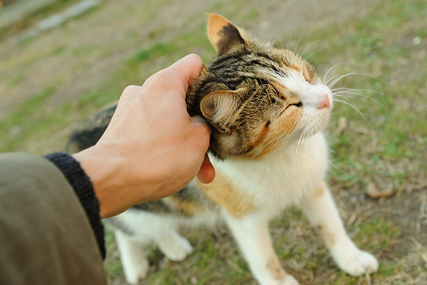 トルコ旅行 その2_a0101201_18484922.jpg