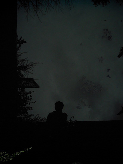 under pola*digi world #007_d0140099_9555775.jpg