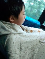 白山登山 ~8~_d0041541_1074118.jpg