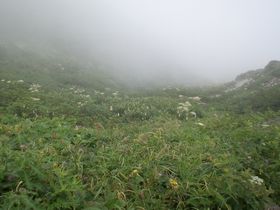 白山登山 ~8~_d0041541_9521356.jpg