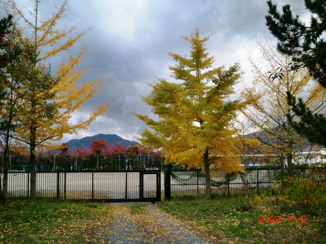 秋から冬へまっしぐら!!_a0005691_15591483.jpg