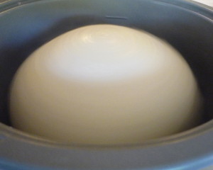 大晦日のご馳走 12・31・2009_a0127398_1327109.jpg