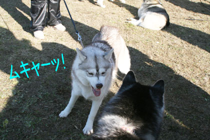 ♪ 教育的指導 ♪_c0161772_21482670.jpg