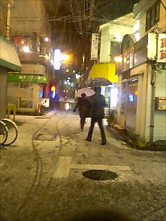 東京も雪です_b0020983_20293130.jpg