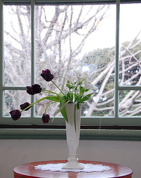 小雨降る 横浜_d0014690_23451735.jpg