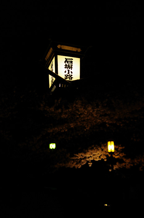 夜桜 ~清水寺~_f0152550_22565869.jpg