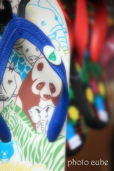 夏休み ☆湘南・江ノ島☆_b0195043_1232196.jpg