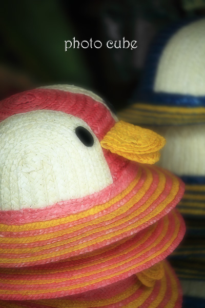 夏休み ☆湘南・江ノ島☆_b0195043_124176.jpg