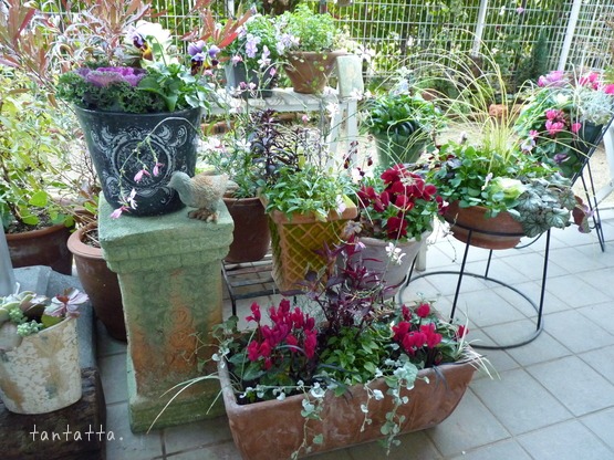 2011年 新年の幕開け。。。_d0173057_22111210.jpg