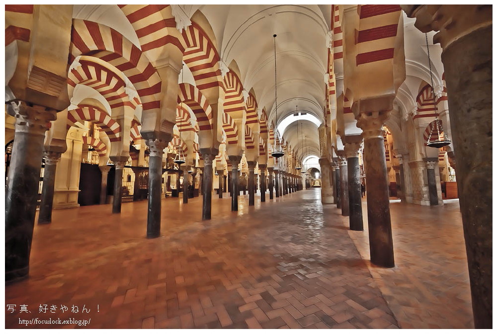 コルドバ ~メスキータ~_f0220502_1840599.jpg