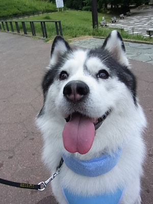 ♪ リセット出来た ♪_c0161772_2394822.jpg