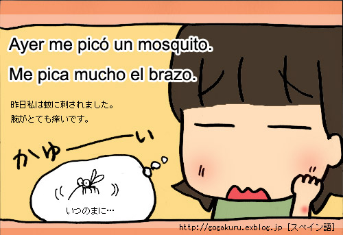 ★【黄熱病の蚊写真+((驚))3動画あり】:蚊 対策のまとめ_a0028694_691375.jpg