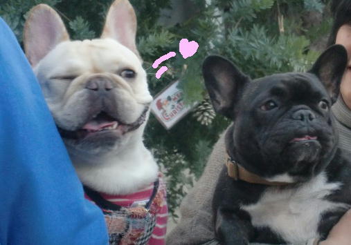 いらっさぁ~い♪ _b0182763_2348739.jpg