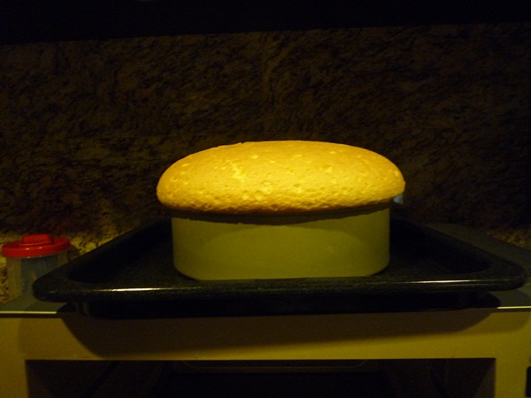 Merry Christmas!_d0057701_1117484.jpg