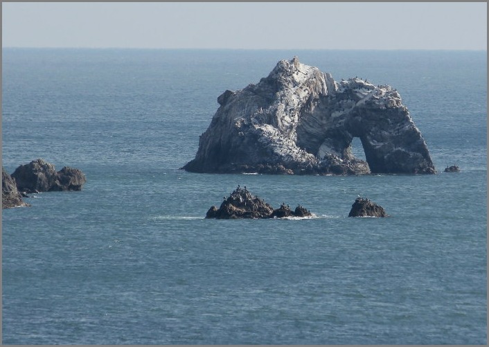 ☆ ハギクソウ ☆_f0181173_2045330.jpg