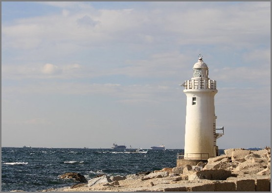 ☆ ハギクソウ ☆_f0181173_2142817.jpg