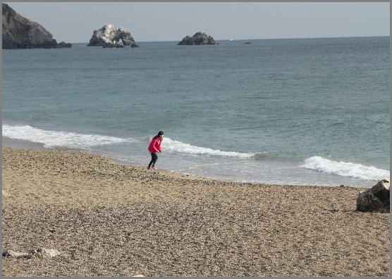 ☆ ハギクソウ ☆_f0181173_2144599.jpg