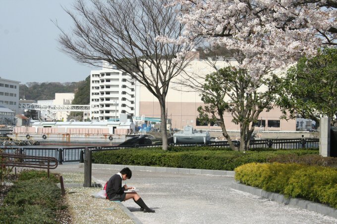 さくら ひらひら_f0174244_22343112.jpg