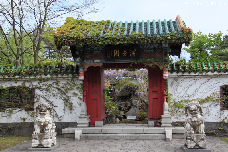 札幌・百合が原公園 その2 中華庭園_b0131071_2355531.jpg