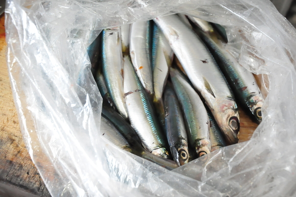 最終回 13日の金曜日の宴会 7月13日 金曜日_d0174400_8353128.jpg