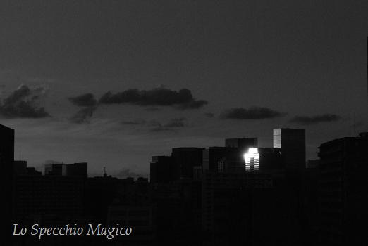 Only One_e0106977_11545268.jpg