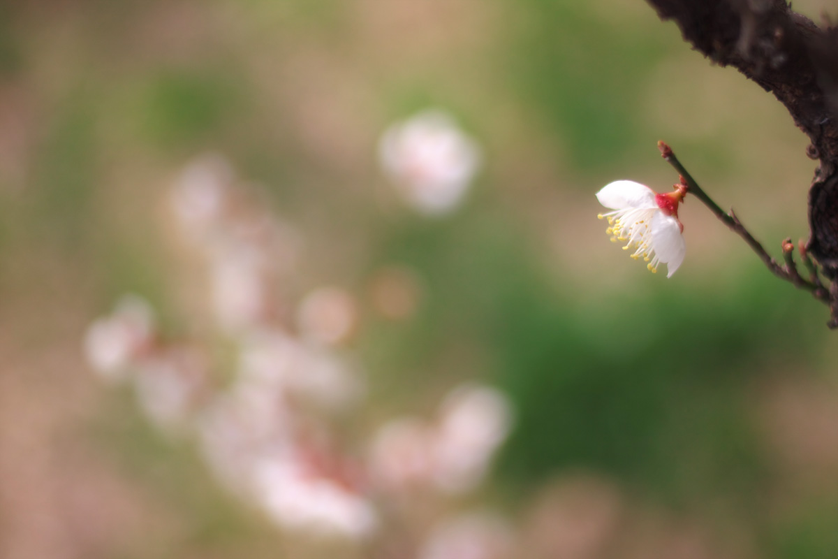 2013 新年オフ -1-_f0004525_21451023.jpg