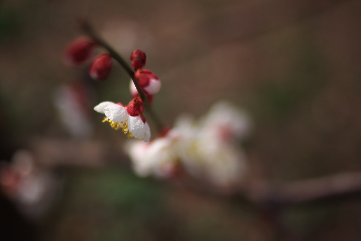 2013 新年オフ -1-_f0004525_2153592.jpg