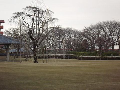 富山の風景 上市・富山_d0217072_1372556.jpg