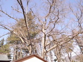 日帰り 長野たび_d0217072_222726.jpg