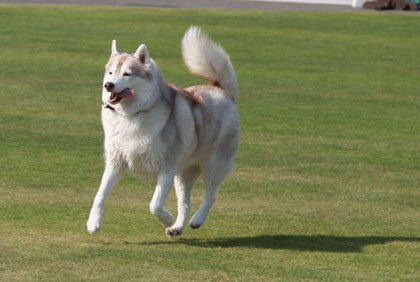 ♪ また行っちゃった ♪_c0161772_22103797.jpg