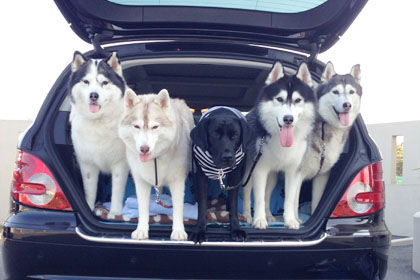 ♪ また行っちゃった ♪_c0161772_2282421.jpg