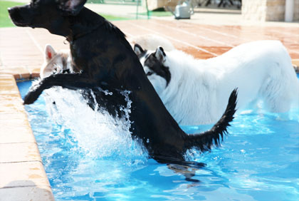 ♪ ダサッ! ♪_c0161772_2195769.jpg