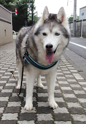 ♪ 予行練習? ♪_c0161772_1654914.jpg