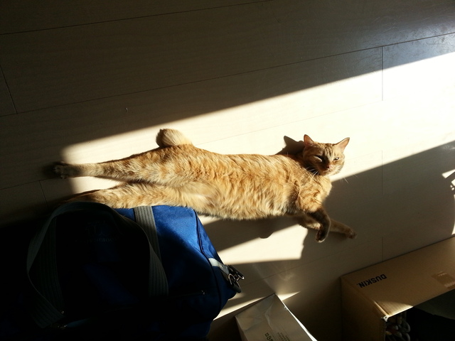 みんな 元気にしてます!!_e0003270_14113169.jpg