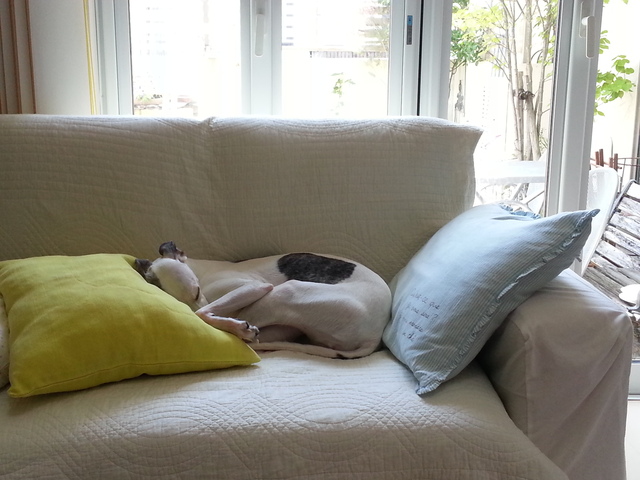 みんな 元気にしてます!!_e0003270_1415250.jpg