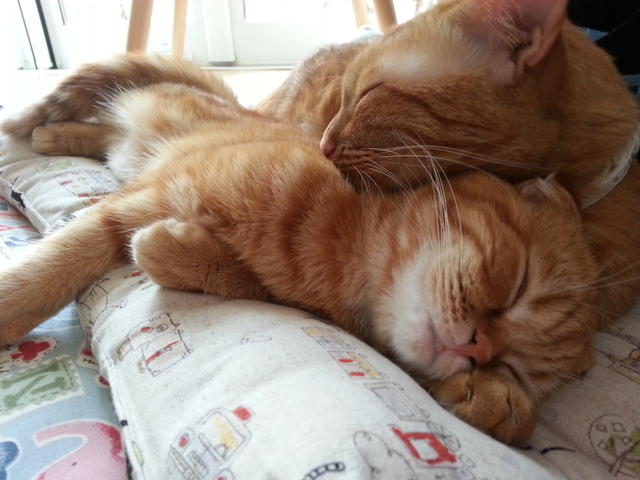 みんな 元気にしてます!!_e0003270_14181757.jpg