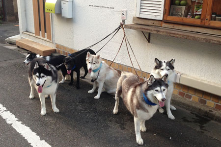 ♪ 試しで1時間 ♪_c0161772_21515177.jpg