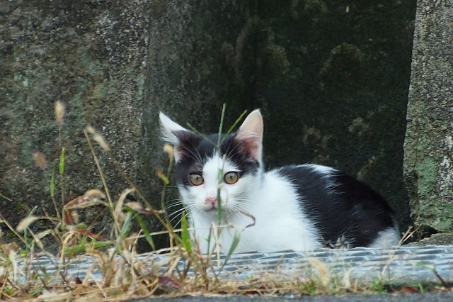 ありがとうございました _f0214527_1042462.jpg