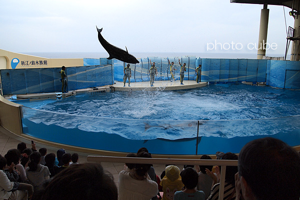ママたちの遠足2013秋 ~新江ノ島水族館の巻~_b0195043_23253424.jpg