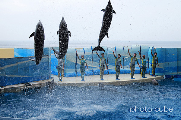 ママたちの遠足2013秋 ~新江ノ島水族館の巻~_b0195043_23255717.jpg