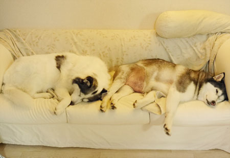 ♪ アリシアとソフィーが ♪_c0161772_1821897.jpg