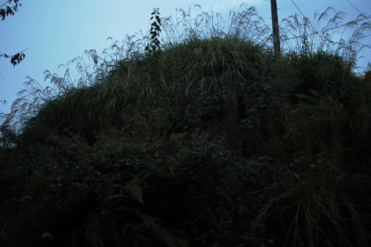 秋 深まりて。_c0129498_22202996.jpg