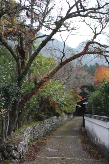 秋 深まりて。_c0129498_22203876.jpg