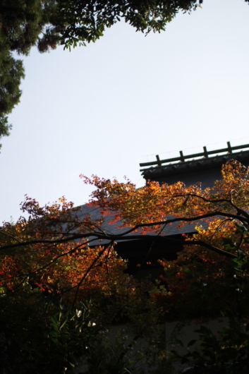 秋 深まりて。_c0129498_22205516.jpg