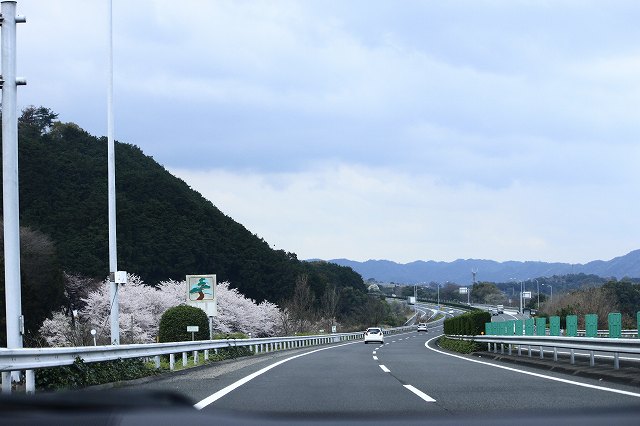 4月6日 逆打ちお遍路65番札所・64番札所_a0045932_15554793.jpg