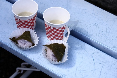 4月6日 逆打ちお遍路65番札所・64番札所_a0045932_15562614.jpg