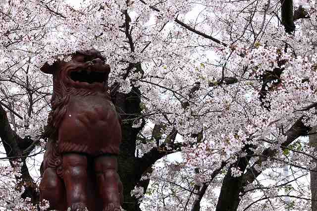 4月6日 逆打ちお遍路65番札所・64番札所_a0045932_1602673.jpg